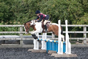 Class 5 - Fences not above 2'6